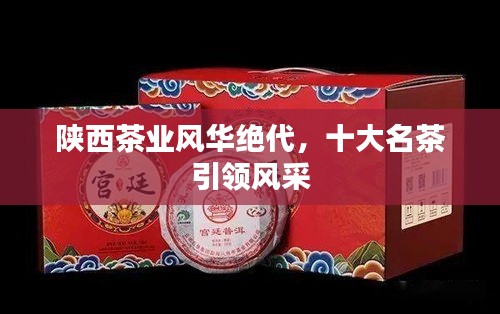 陕西茶业风华绝代，十大名茶引领风采