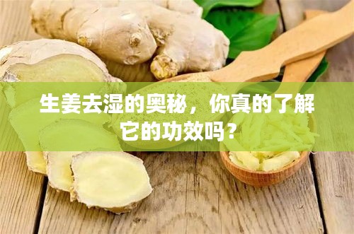 生姜去湿的奥秘，你真的了解它的功效吗？