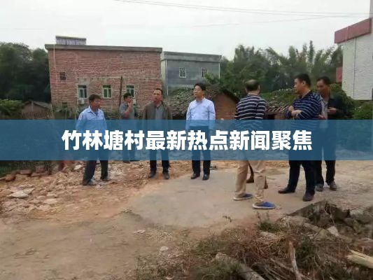 竹林塘村最新热点新闻聚焦