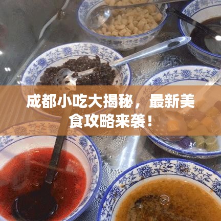 成都小吃大揭秘，最新美食攻略来袭！