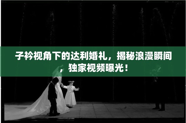 子衿视角下的达利婚礼，揭秘浪漫瞬间，独家视频曝光！