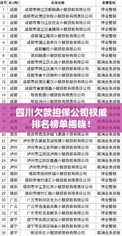 四川欠款担保公司权威排名榜单揭晓！