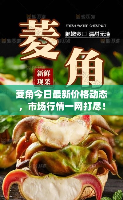 菱角今日最新价格动态，市场行情一网打尽！