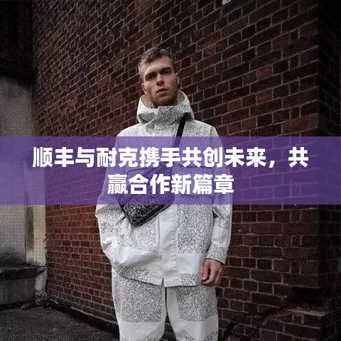顺丰与耐克携手共创未来，共赢合作新篇章
