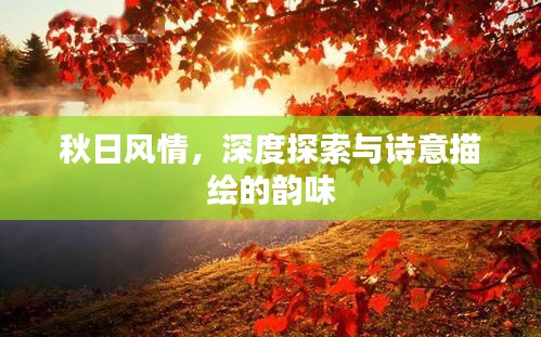 秋日风情，深度探索与诗意描绘的韵味