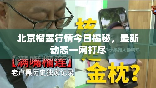 北京榴莲行情今日揭秘，最新动态一网打尽