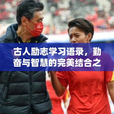 古人励志学习语录，勤奋与智慧的完美结合之道