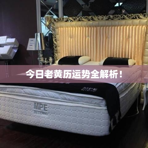 今日老黄历运势全解析！