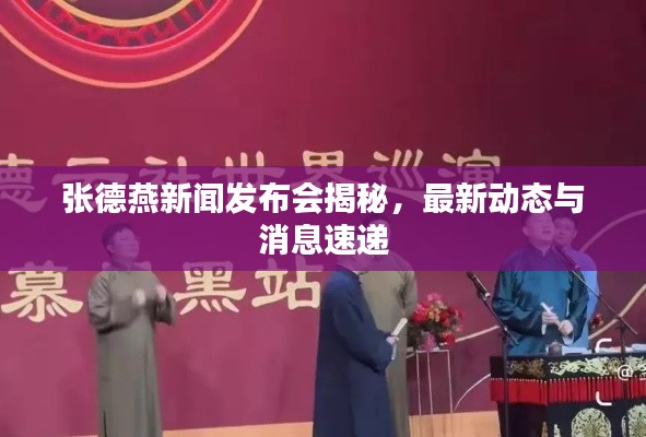 张德燕新闻发布会揭秘，最新动态与消息速递