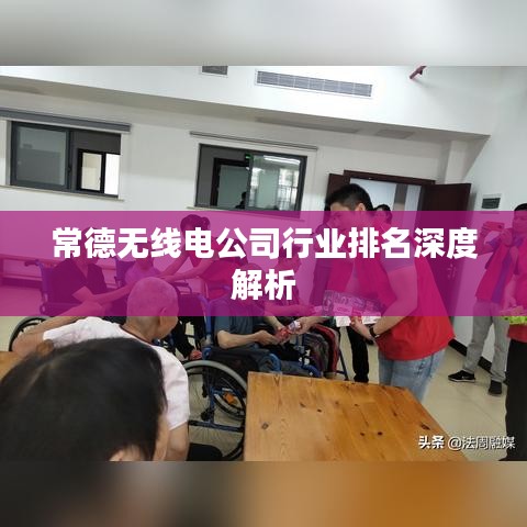 常德无线电公司行业排名深度解析