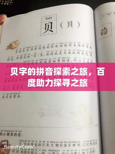 贝字的拼音探索之旅，百度助力探寻之旅