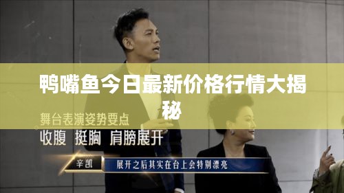 鸭嘴鱼今日最新价格行情大揭秘