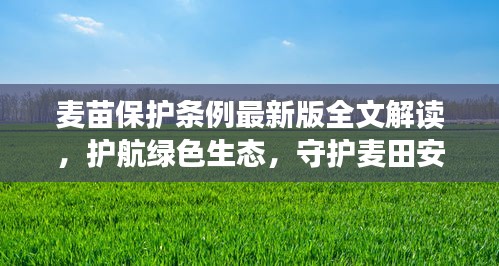 麦苗保护条例最新版全文解读，护航绿色生态，守护麦田安全