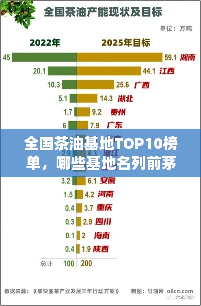 全国茶油基地TOP10榜单，哪些基地名列前茅？