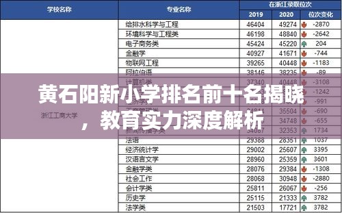 黄石阳新小学排名前十名揭晓，教育实力深度解析