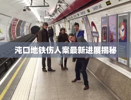 沌口地铁伤人案最新进展揭秘