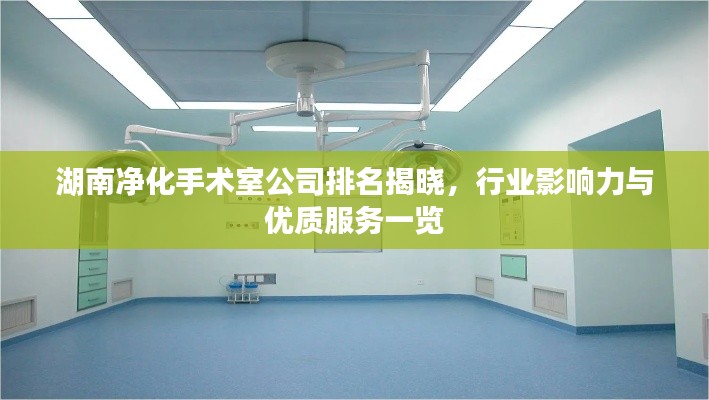 湖南净化手术室公司排名揭晓，行业影响力与优质服务一览