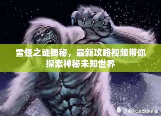 雪怪之谜揭秘，最新攻略视频带你探索神秘未知世界