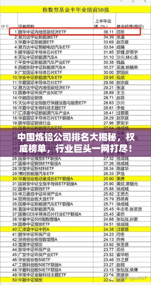 中国炼铝公司排名大揭秘，权威榜单，行业巨头一网打尽！