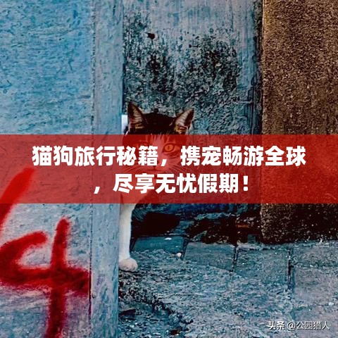 猫狗旅行秘籍，携宠畅游全球，尽享无忧假期！
