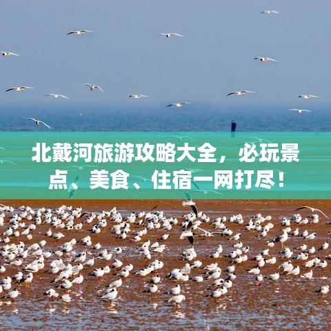 北戴河旅游攻略大全，必玩景点、美食、住宿一网打尽！
