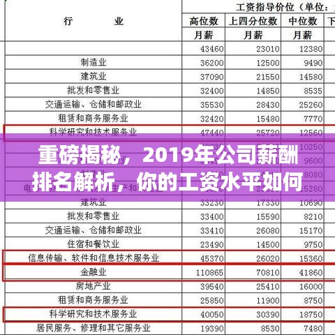 重磅揭秘，2019年公司薪酬排名解析，你的工资水平如何？