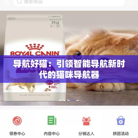 导航好猫：引领智能导航新时代的猫咪导航器