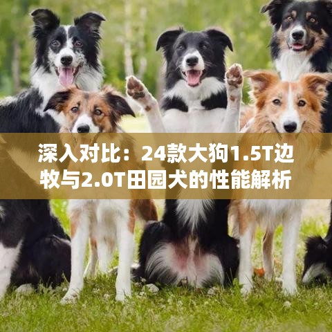 深入对比：24款大狗1.5T边牧与2.0T田园犬的性能解析