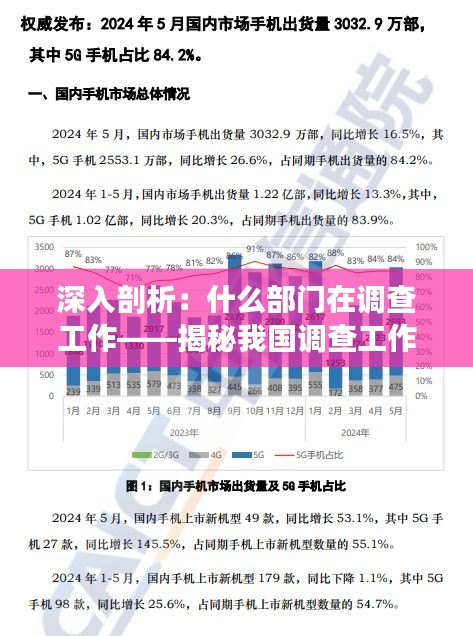 深入剖析：什么部门在调查工作——揭秘我国调查工作的神秘面纱