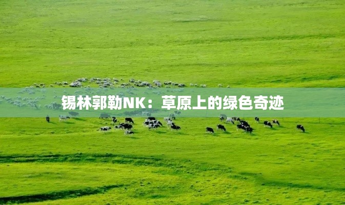 锡林郭勒NK：草原上的绿色奇迹