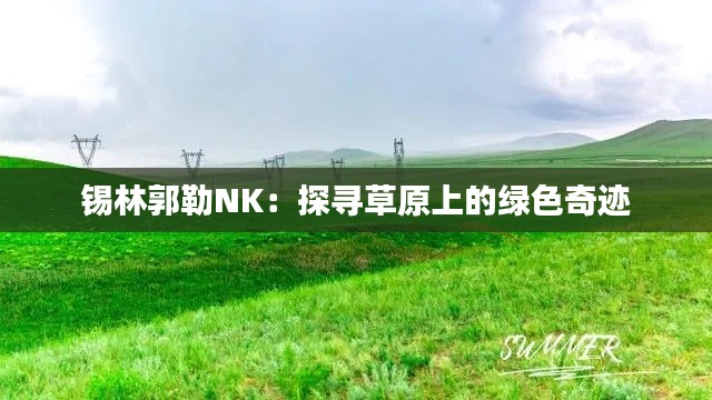 锡林郭勒NK：探寻草原上的绿色奇迹