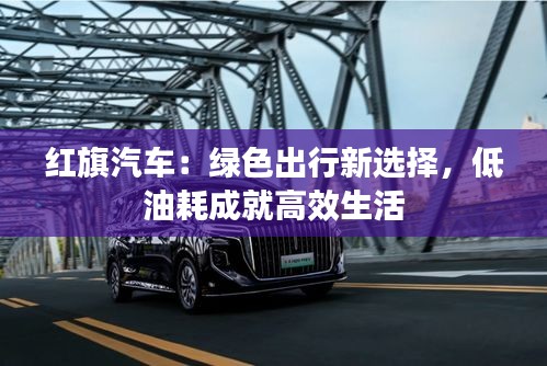 红旗汽车：绿色出行新选择，低油耗成就高效生活