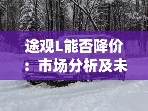 途观L能否降价：市场分析及未来趋势