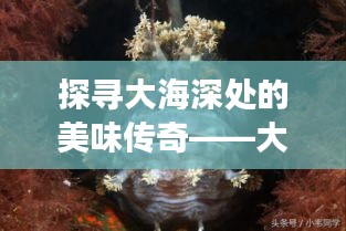 探寻大海深处的美味传奇——大章鱼丸子的魅力之旅