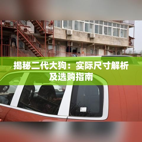 揭秘二代大狗：实际尺寸解析及选购指南