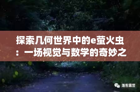 探索几何世界中的e萤火虫：一场视觉与数学的奇妙之旅