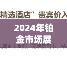 2024年铂金市场展望：15克铂金的投资价值与前景分析