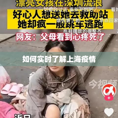 如何实时了解上海疫情