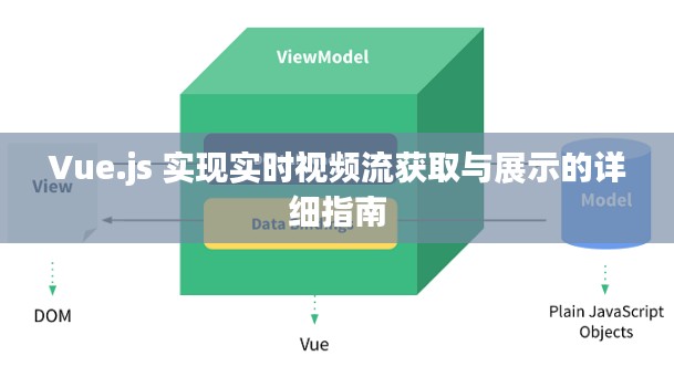 Vue.js 实现实时视频流获取与展示的详细指南