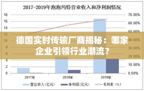 德国实时传输厂商揭秘：哪家企业引领行业潮流？