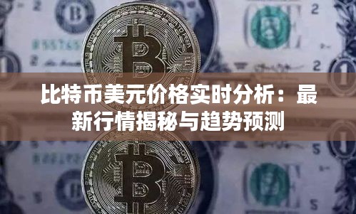 比特币美元价格实时分析：最新行情揭秘与趋势预测