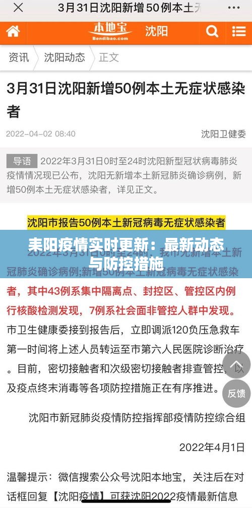 耒阳疫情实时更新：最新动态与防控措施