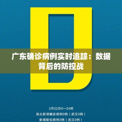 广东确诊病例实时追踪：数据背后的防控战