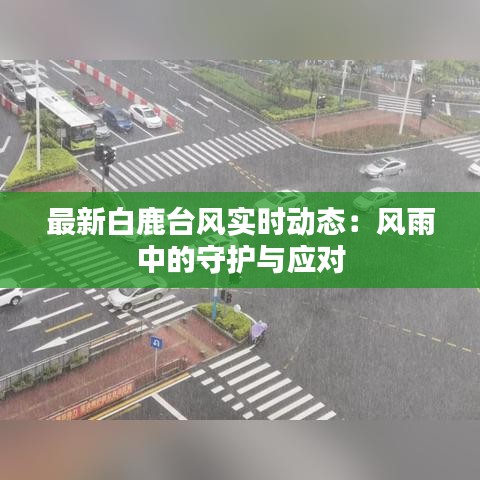 最新白鹿台风实时动态：风雨中的守护与应对