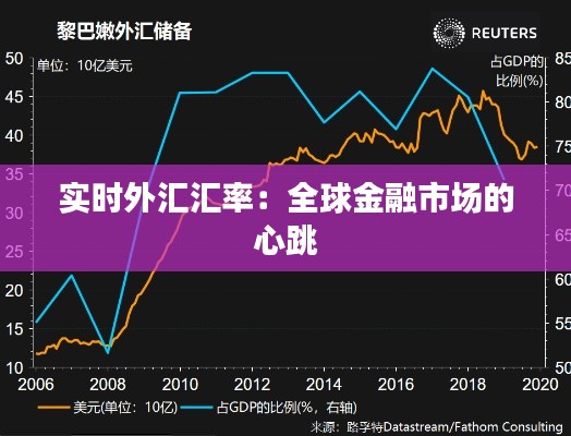 2024年12月11日 第51页