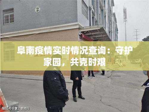 阜南疫情实时情况查询：守护家园，共克时艰