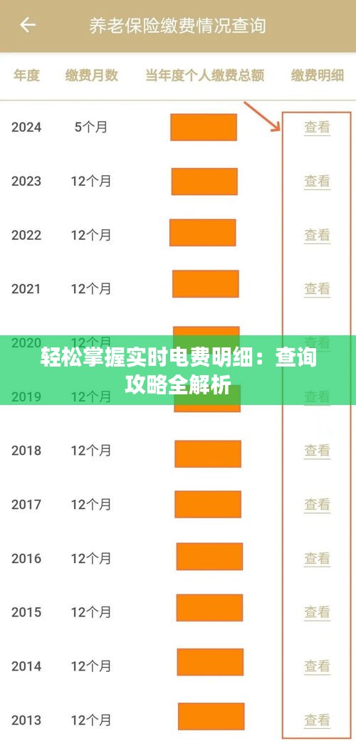 轻松掌握实时电费明细：查询攻略全解析