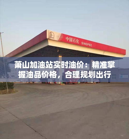 萧山加油站实时油价：精准掌握油品价格，合理规划出行