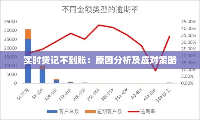 实时贷记不到账：原因分析及应对策略