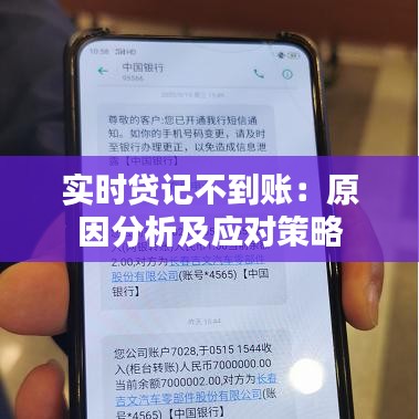 实时贷记不到账：原因分析及应对策略